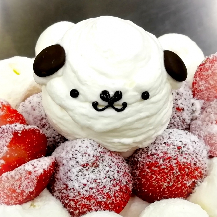 生クリーム動物さん ル クール 生クリーム動物さん ル クール