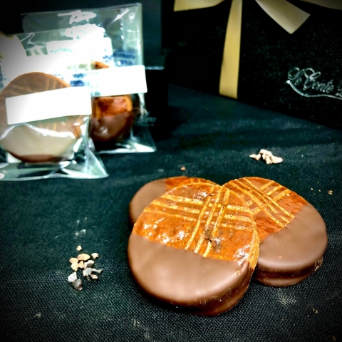 ���_�C���V���R�� �z���C�g�J�J�I 5�����M�t�g