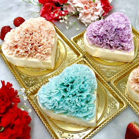 �y��̓��z�n�[�g�J�[�l�[�V���� �t���}�[�W��