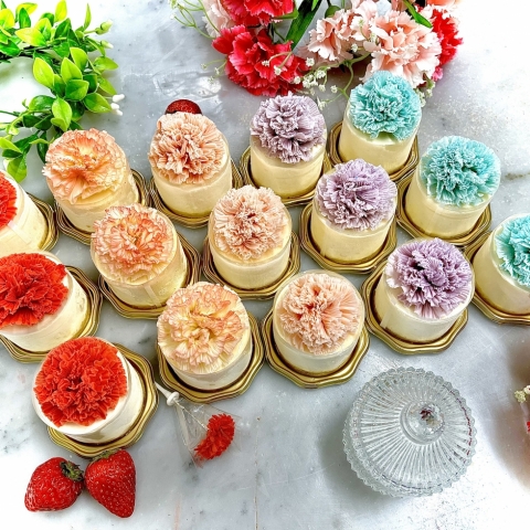 �y��̓��z�v�`�J�[�l�[�V���� �t���}�[�W��