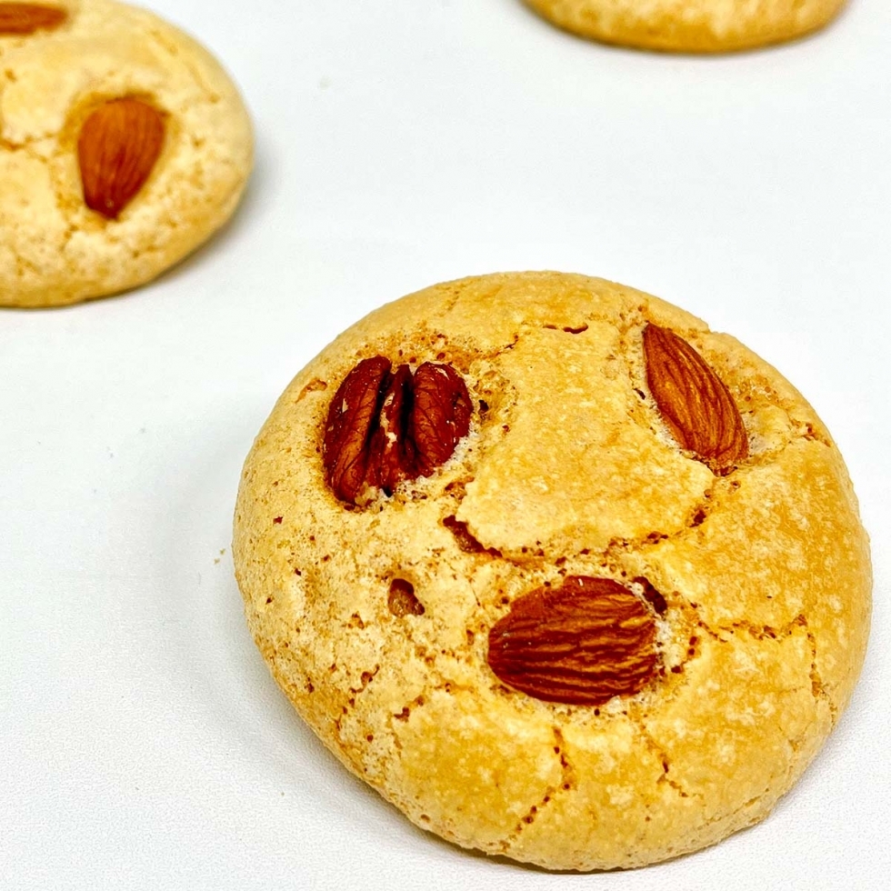 �A�[�����h�V���N�Z