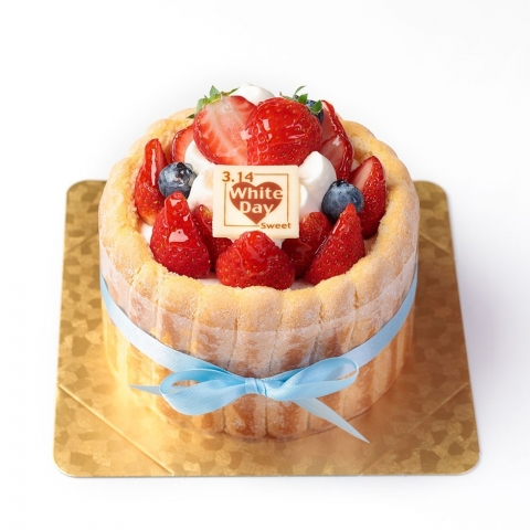 䕂̃V�������b�g