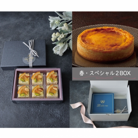 春のチーズケーキ　スペシャル２BOX
