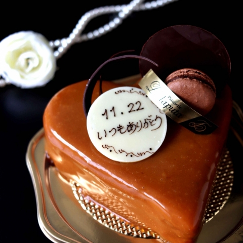 11/212223@nbs[VRivw̓j