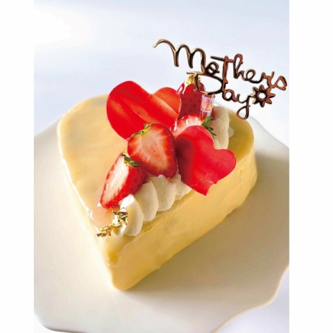 �y��̓��z�n�[�g�V���R���i5/9�10�j