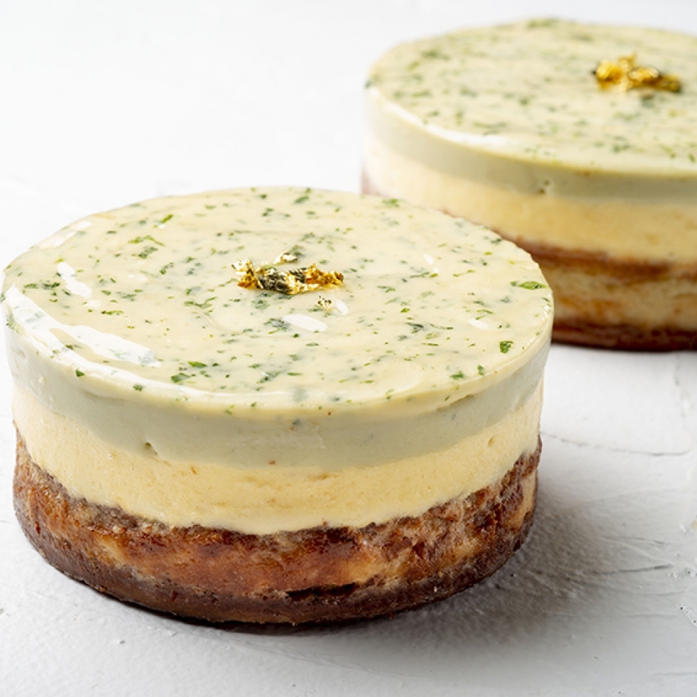 �h�D�[�u���E�S���S���]�[���i���A���x�C�N�h�̂Q�w�j