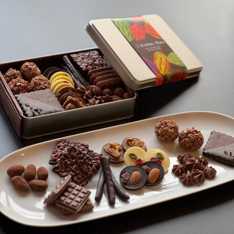 �V���R����