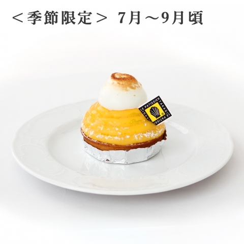 ^g Vg
