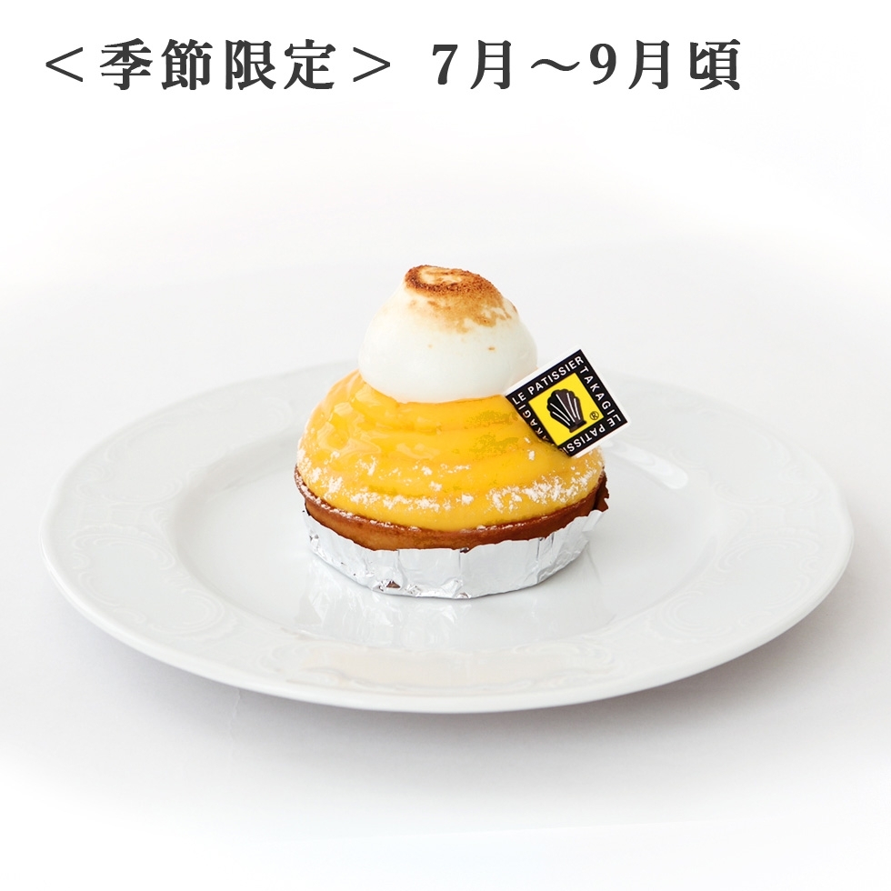 ^g Vg