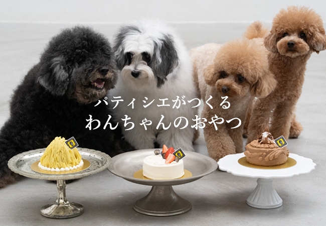 Pâtissier パティシエ Vol.01 Pâtissier パティシエ (柴田書店MOOK) | 柴田書店 |本 | 通販