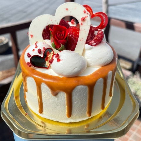 �L���������V�t�H��