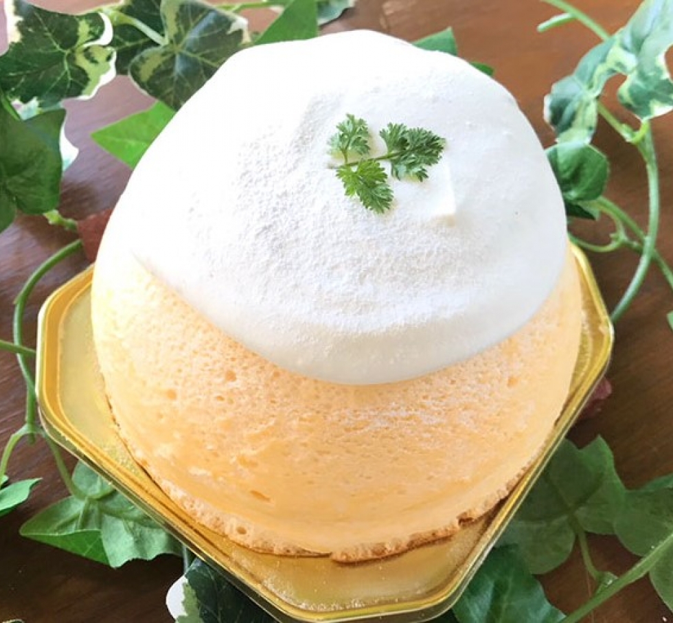 チーズズコット