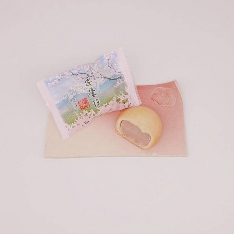 ���ܖ� -�������Q-