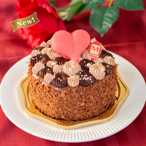 �o�����^�C���V���R���@4���i12cm�j