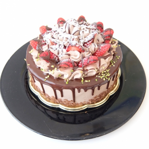 �V���R���t���[�Y�@6���i18cm�j