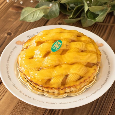 �A�b�v���|�e�g�p�C