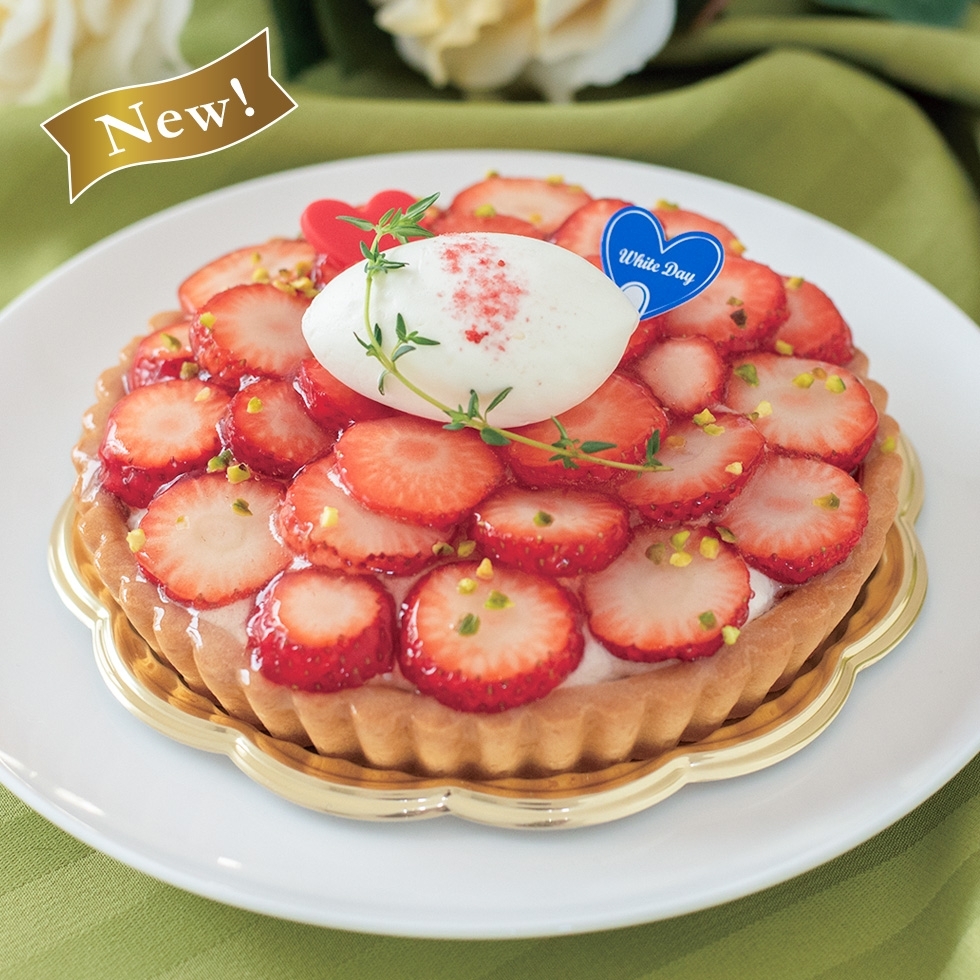 �g�ق��؃��[�X�^���g 5���i15cm�j