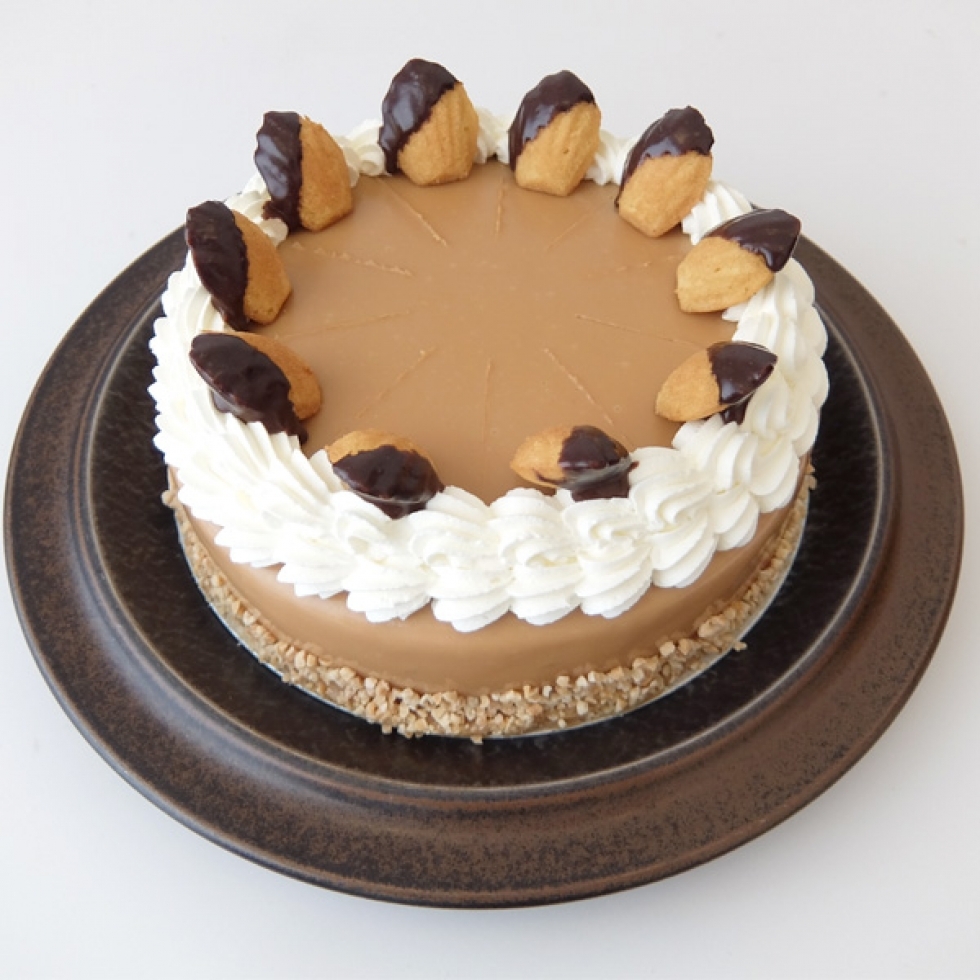 �L���������o�i�i�g���e�@7���i21cm�j