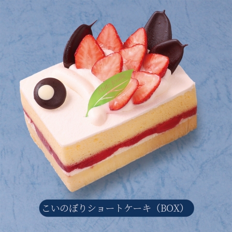 ̂ڂV[gP[LiBOXj