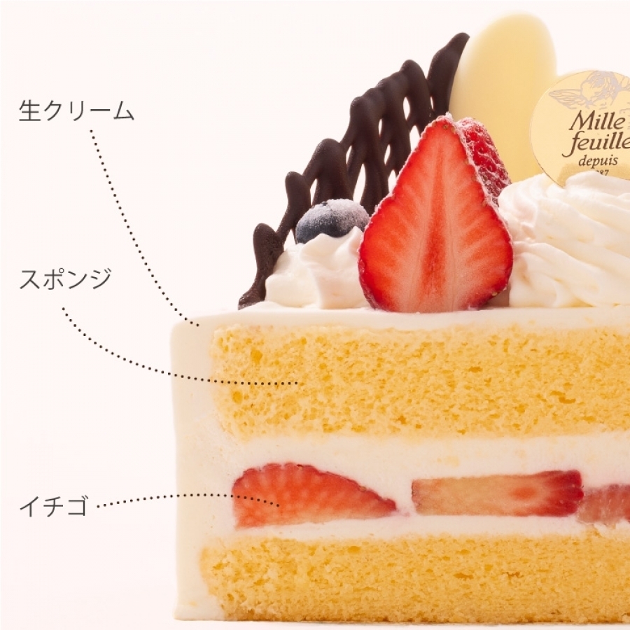 秋色アジサイと木の実のミルフィーユ飾り　(飾りの部分25㎝) DF-33 木の実と雑穀の秋色壁飾り・ドライフラワー【花材セット