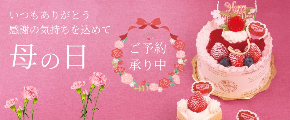 ��̓��f�R���[�V����