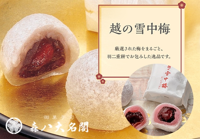 最終価格！超貴重品　大人エンタメ！年代物のきのこ盃　宴遊盃 最終価格！超貴重品 大人エンタメ！年代物のきのこ盃 宴遊盃 2025