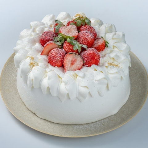 �������f�R5���@�v���[���V�t�H���~���N���[��