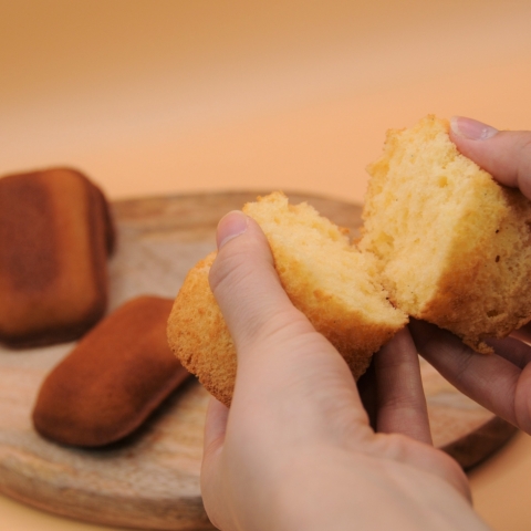 �ĉَq�Z�b�g8����