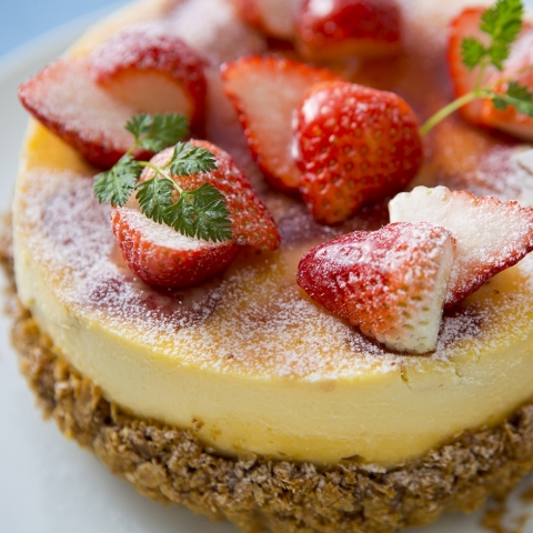 NS �������̃N���t�e�B�f�R���[�V�����P�[�L