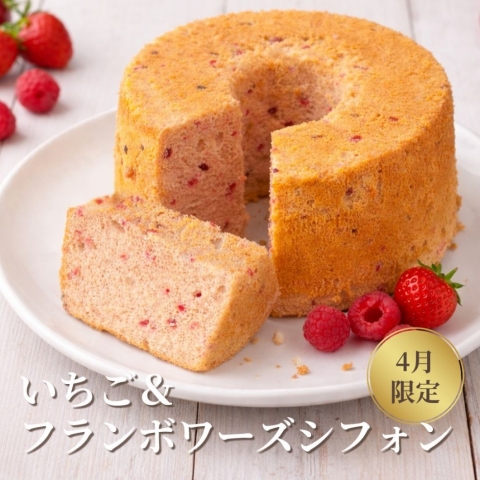 �y�S������z���������t�����{���[�Y�V�t�H��