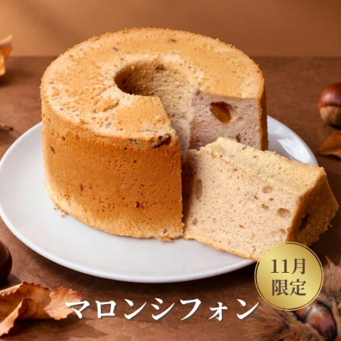 �y11������z�}�����V�t�H��