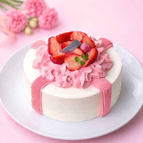 NS ��̓��f�R���[�V����