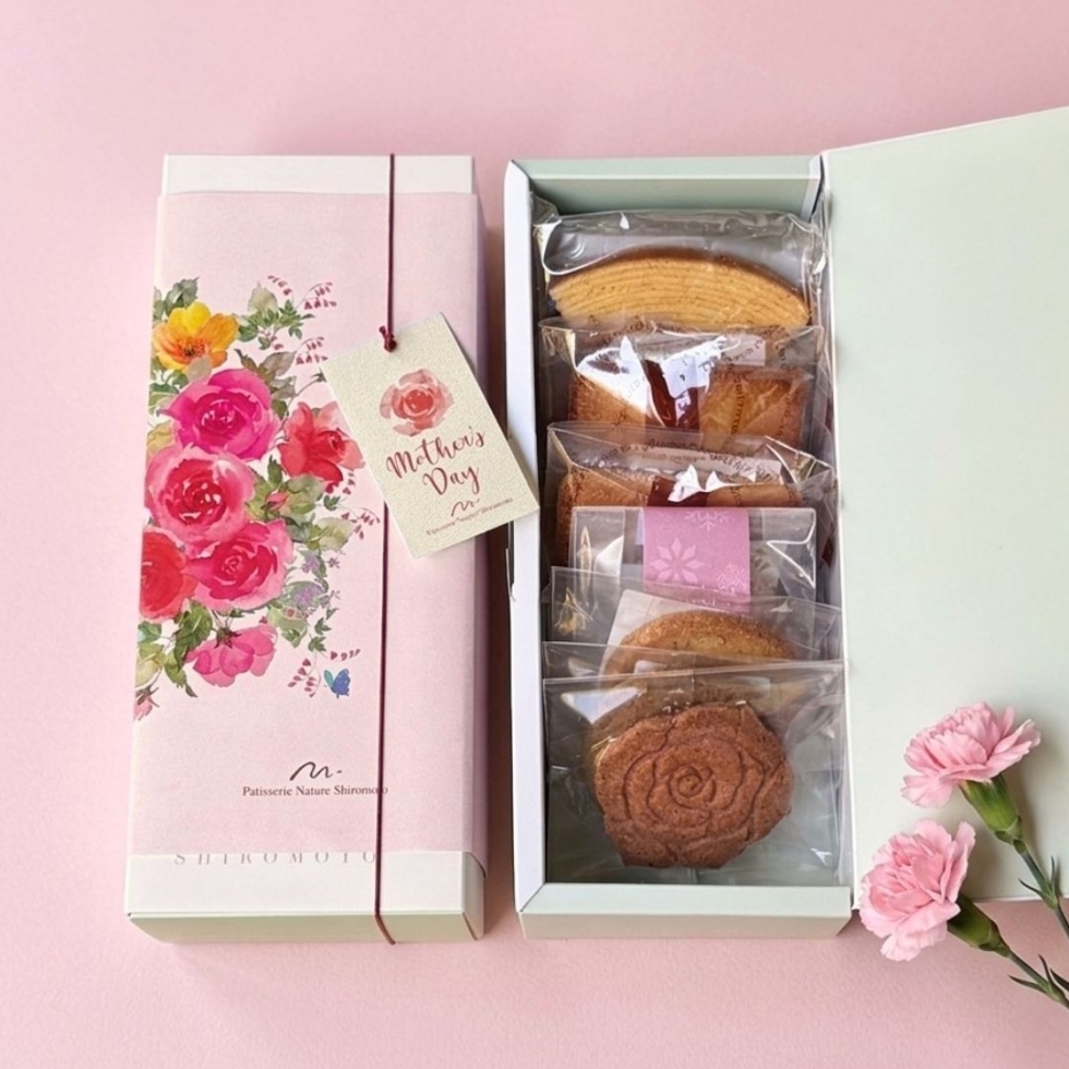 ��̓��M�t�g S