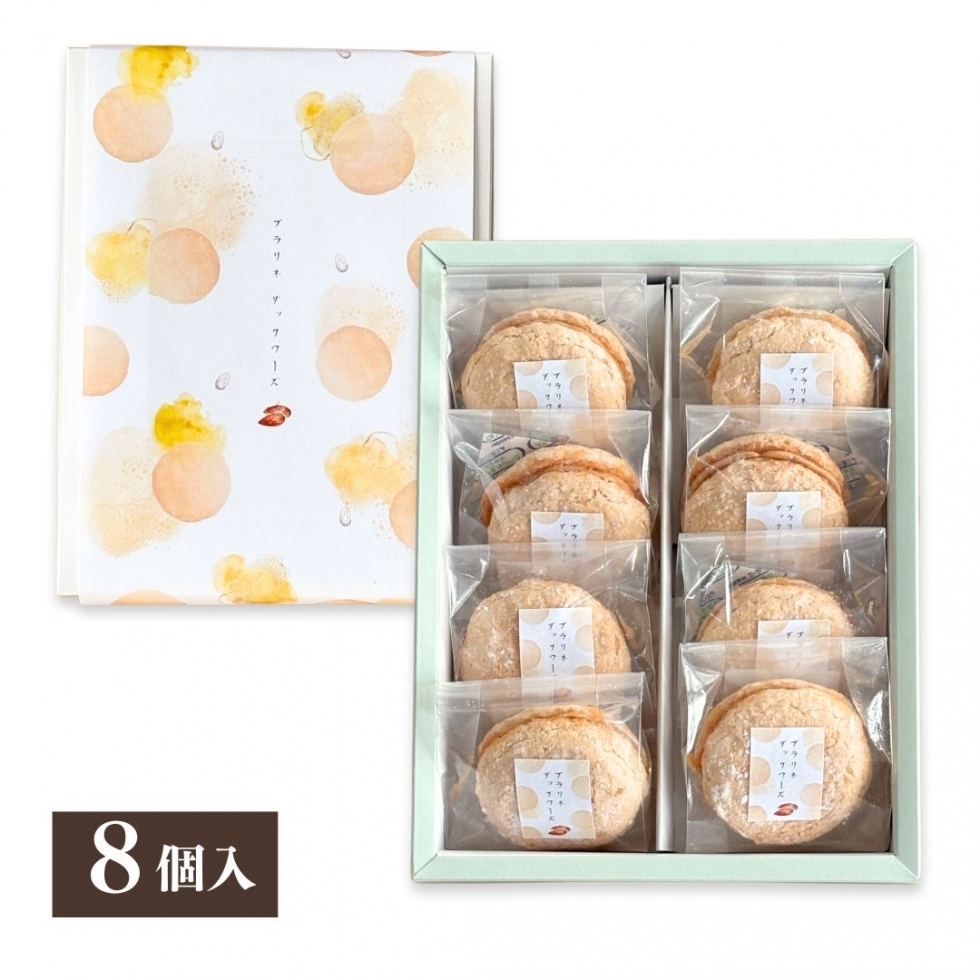 �_�b�N���[�Y�M�t�g�i8���j