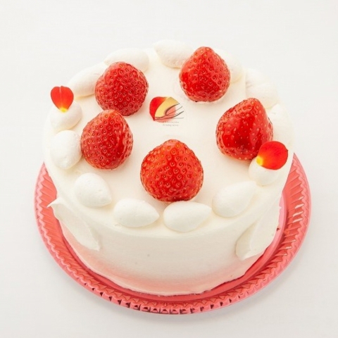 䕂̃f�R���[�V����