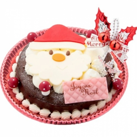 �T���^�V���R��