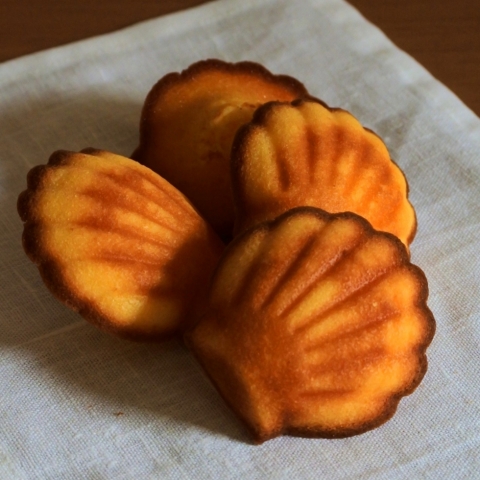 �V�F���}�h���[�k