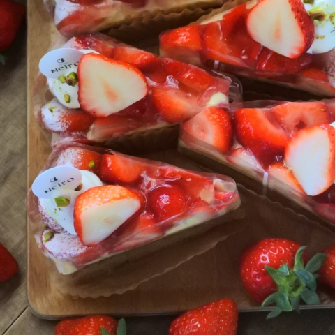 ���n�������^���g