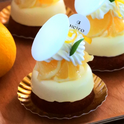 �j���[�T�}�[�I�����W�̃^���g