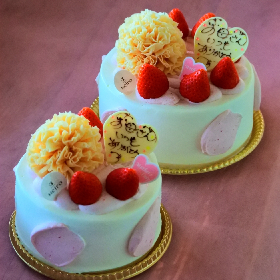 ��̓��f�R���[�V����