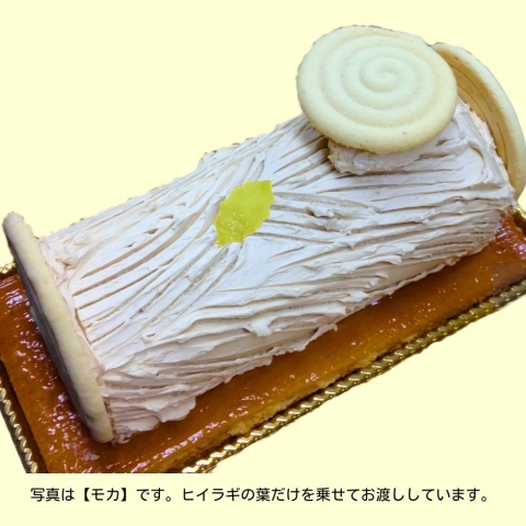 �u�b�V���h�m�G���@�P�Wcm