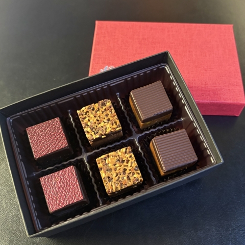 �V���R���L���[�u�@6����