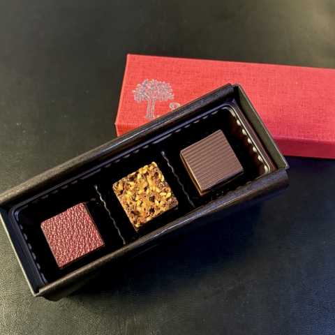 �V���R���L���[�u�@3����