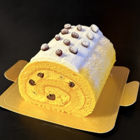 �p���v�L�����[���@11����