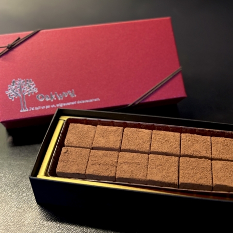 �`���R�u���b�N�@�A�b�T��