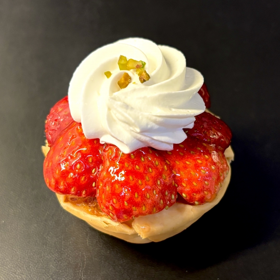 䕂̃p���p���^���g