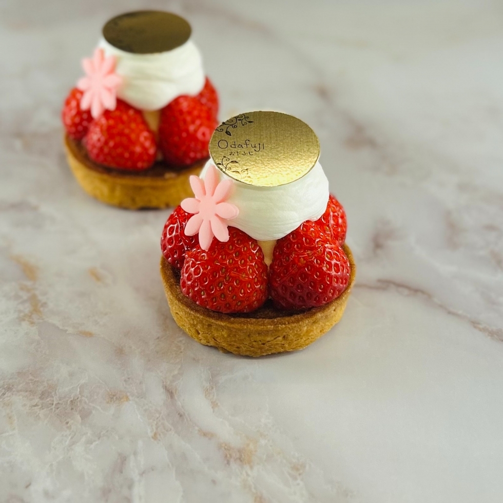 �^���g�t���[�Y