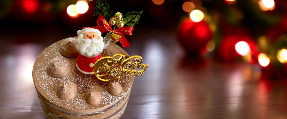 2025�K�g�[�V���R��