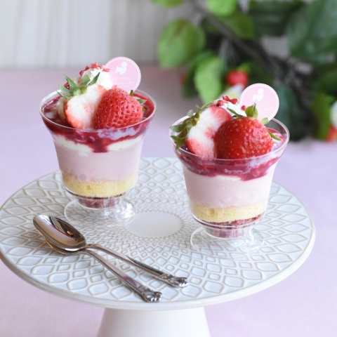 �������p�t�F