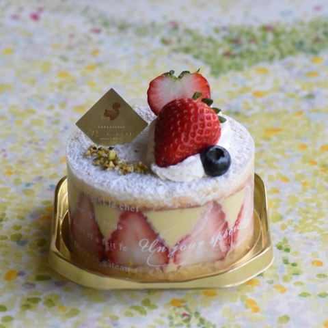 �t���W�F�s�X�^�`�I�R��